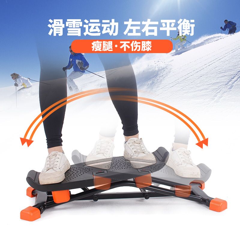 Home Gym Portable - Ski Exercise Machine Indoor Balance Fitness